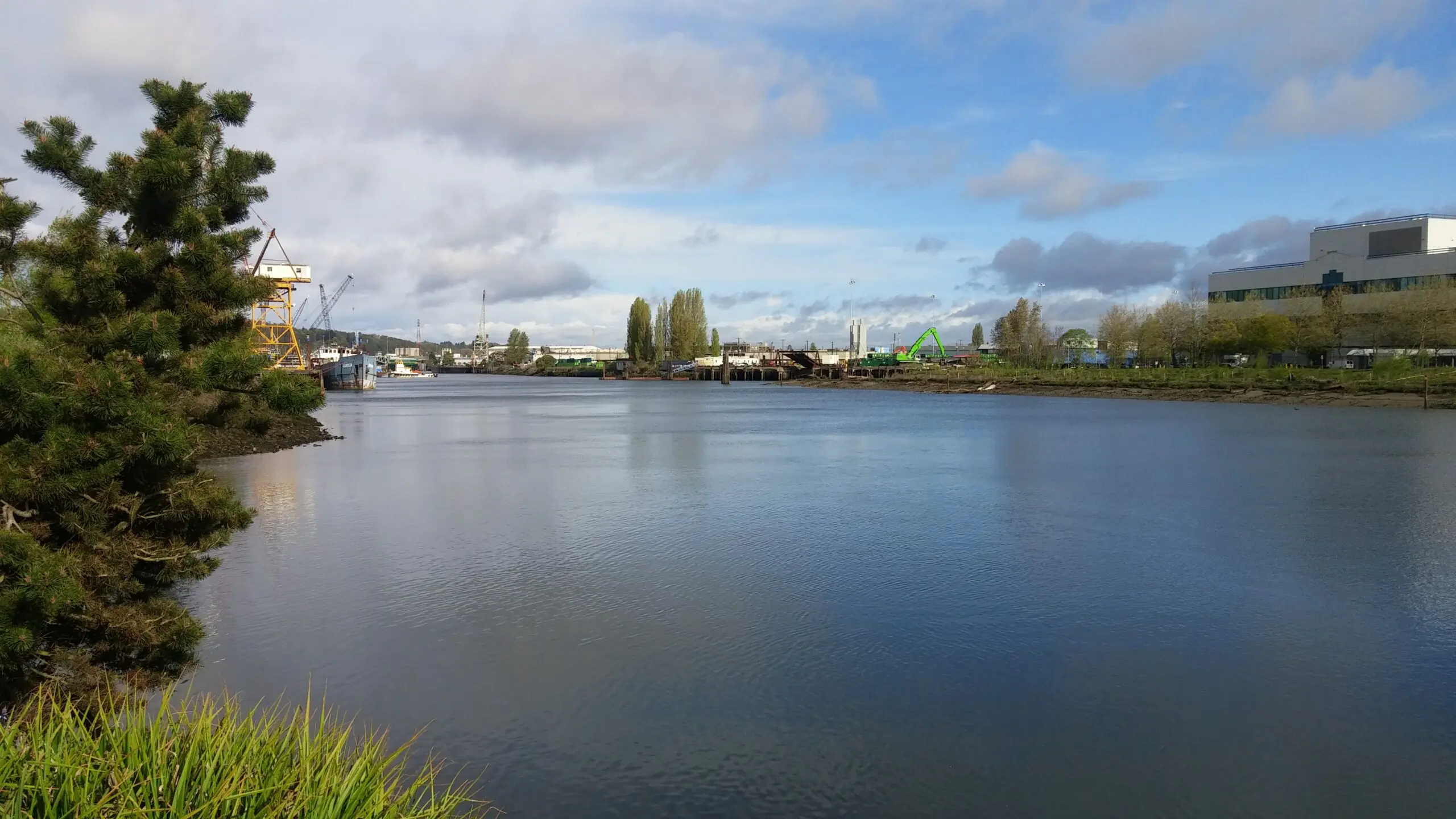 Green Duwamish River Forterra