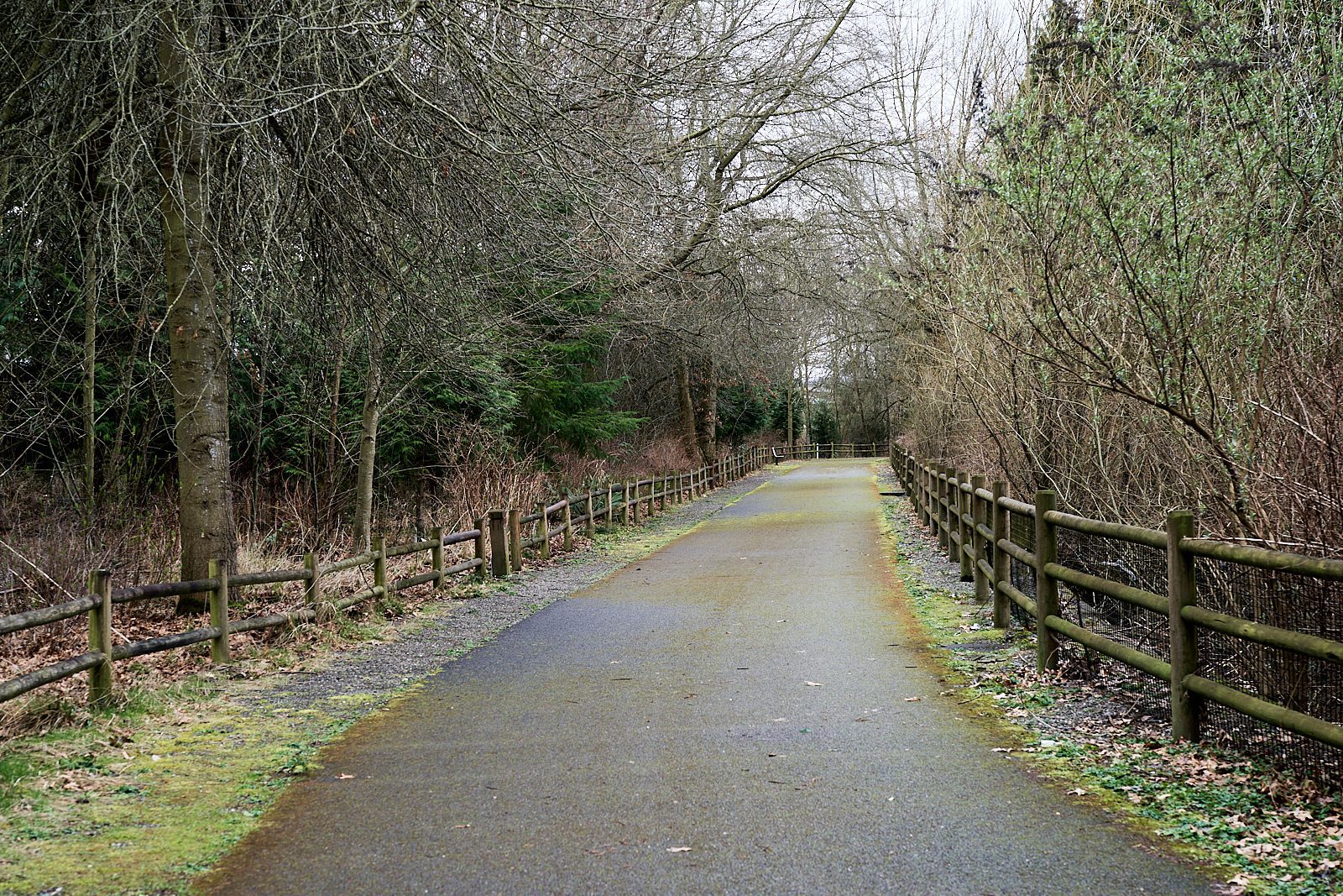 Bear Creek, Redmond, Forterra