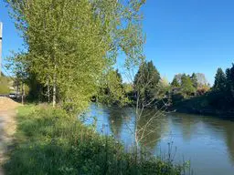 Duwamish Hill Preserve River