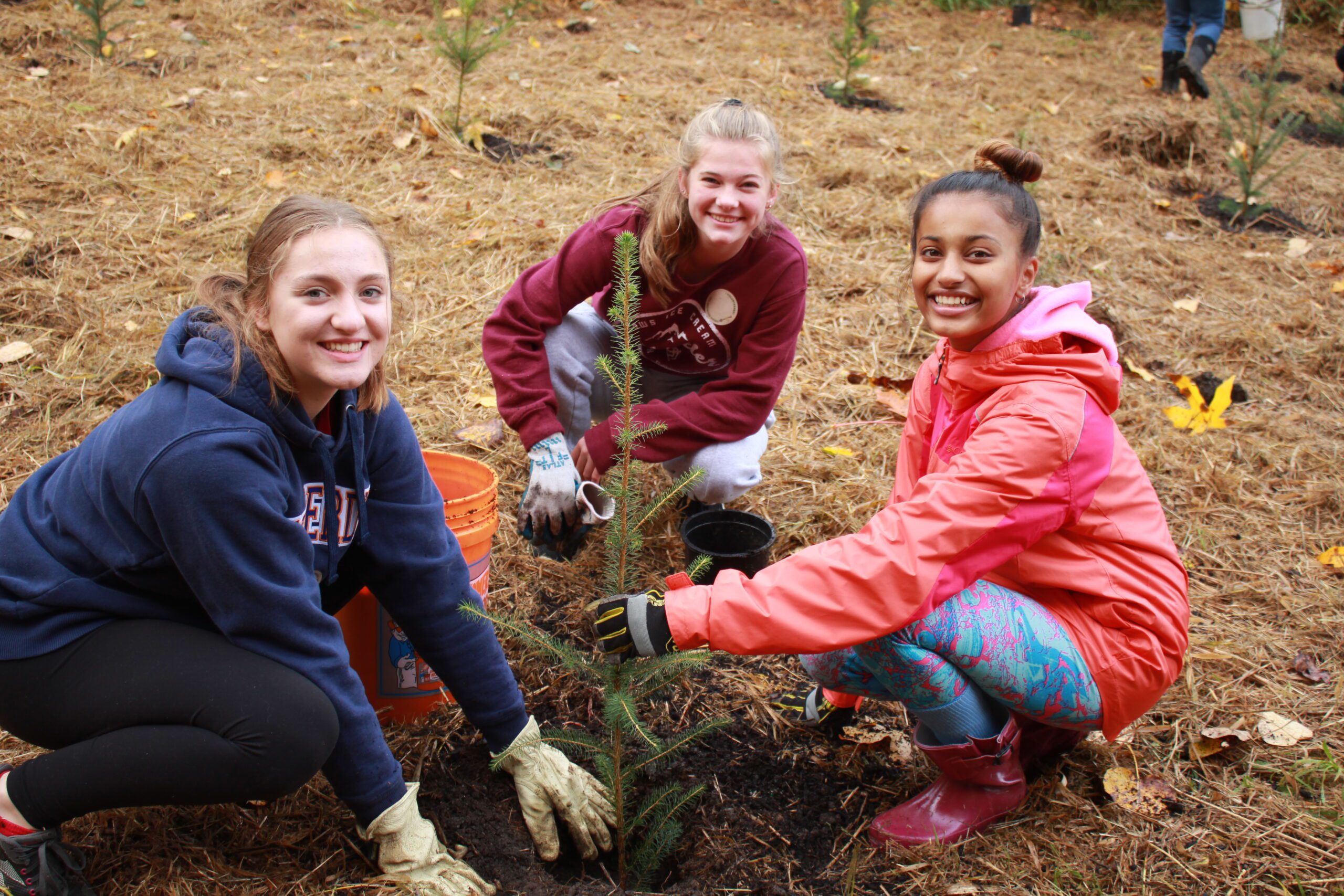 Green Redmond Volunteers