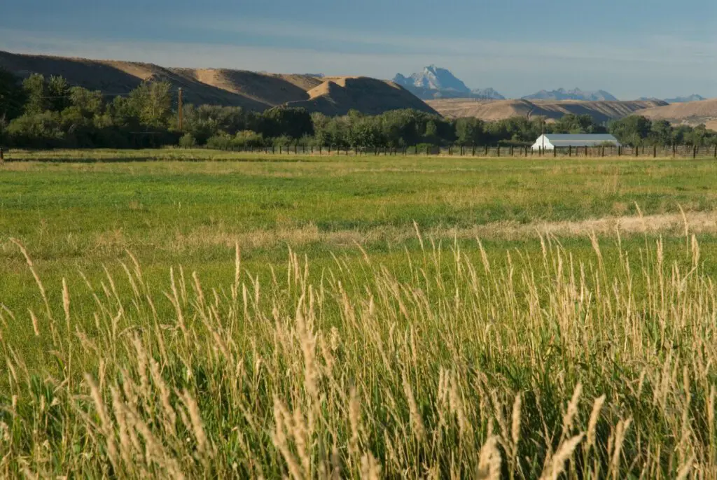 Ellensburg Farm Kittitas County Conservation Forterra