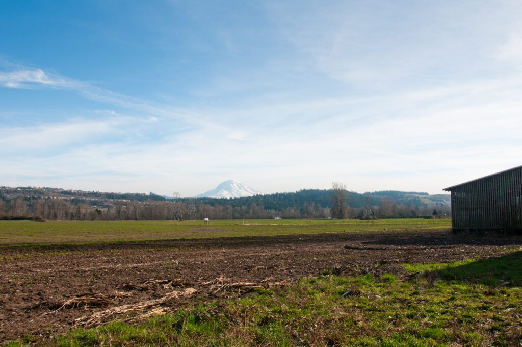 Matlock Farm Forterra