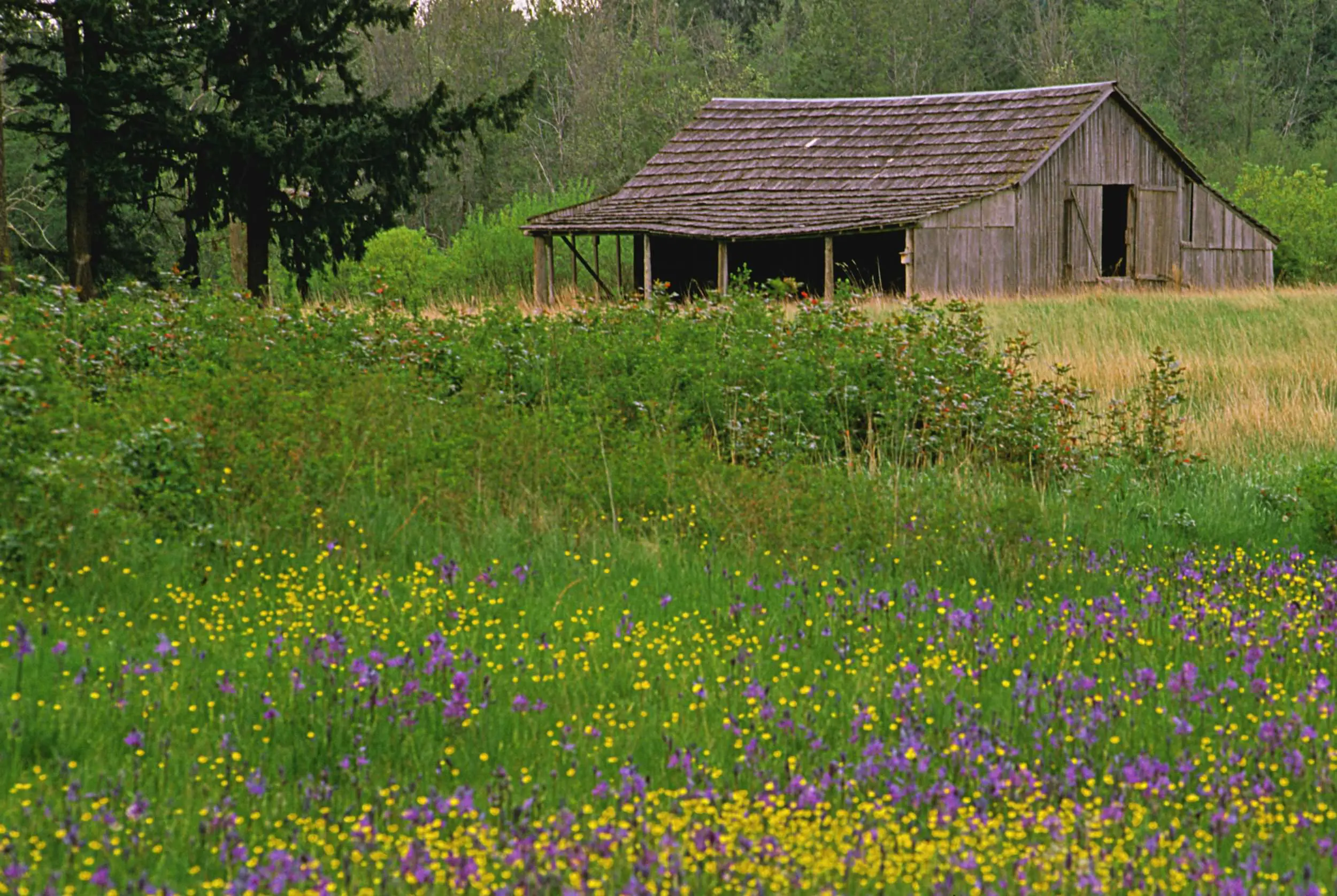 Morse Wildlife Preserve