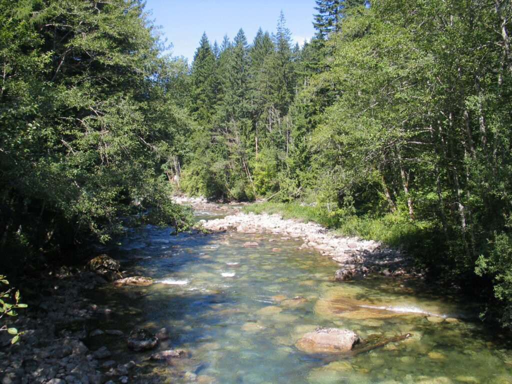Skykomish Foss River, Forterra