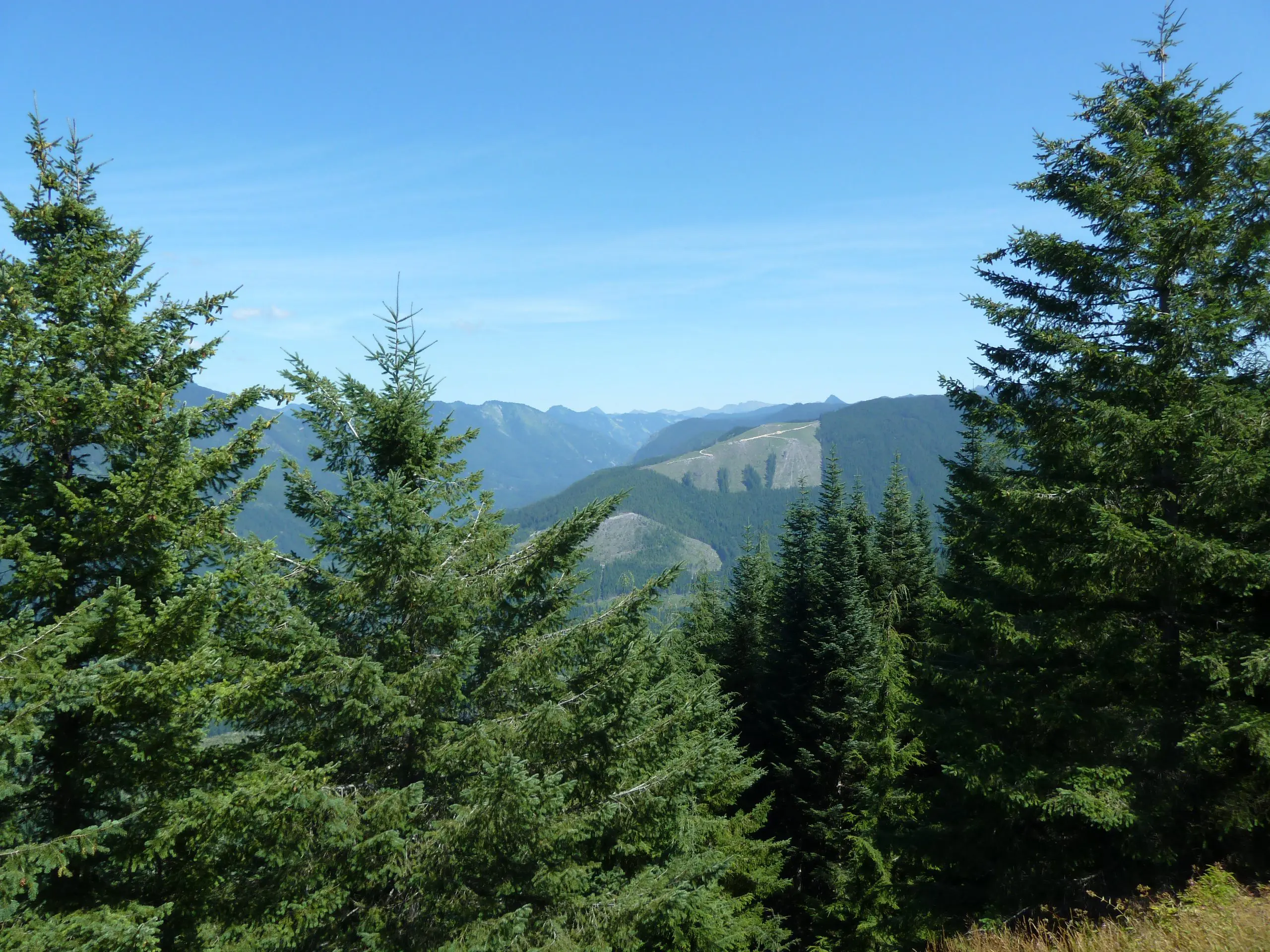 Skykomish Valley Forterra