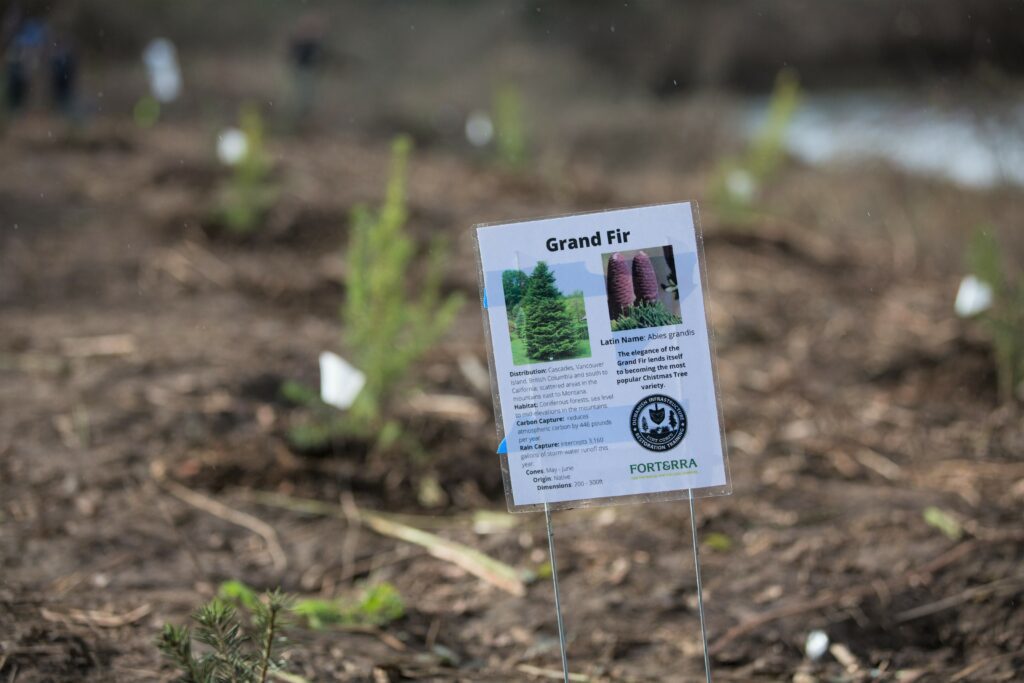 Tree Planting Forterra ECC event