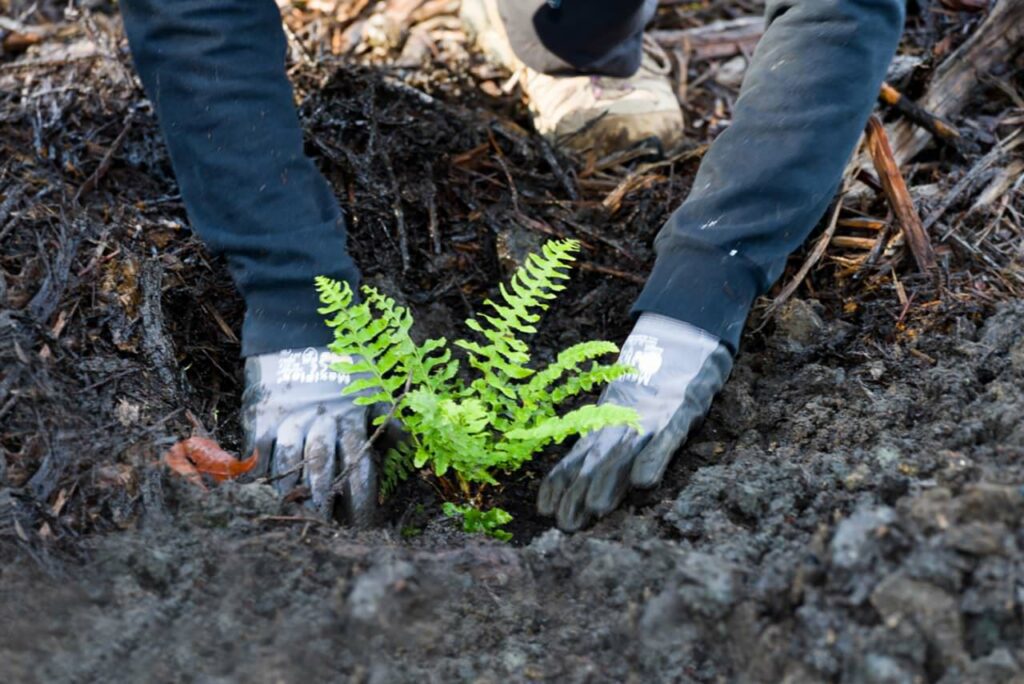 Plant into the pile