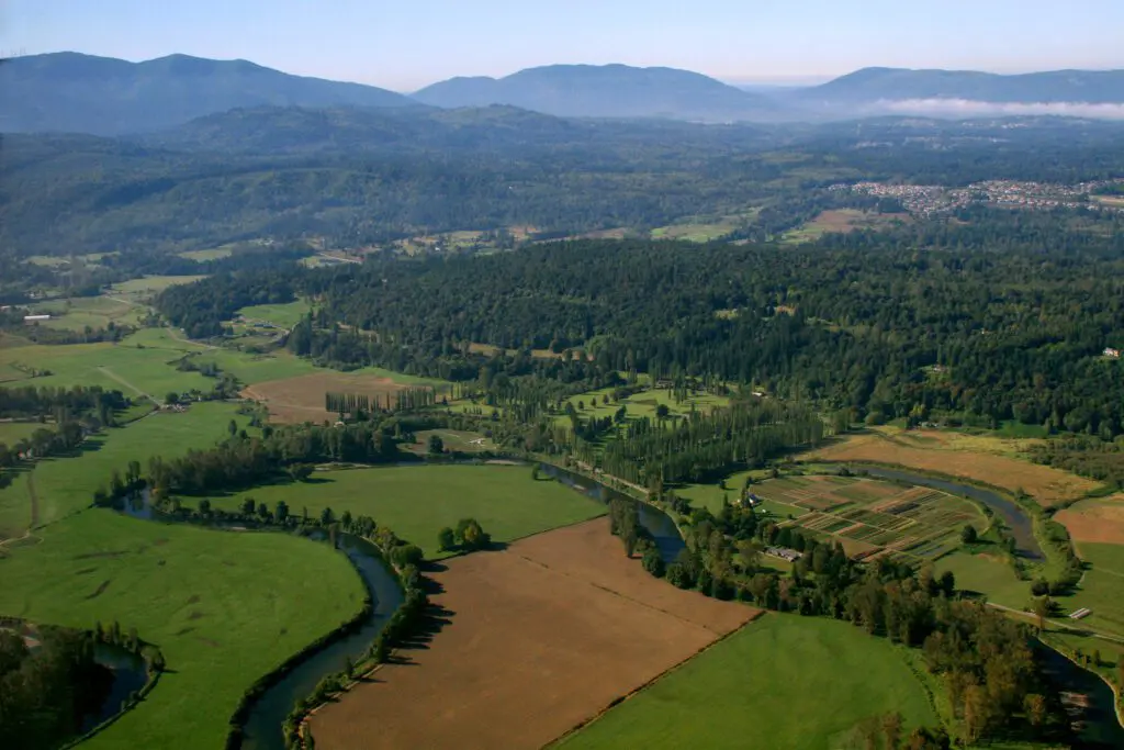 Aerial farmland forest