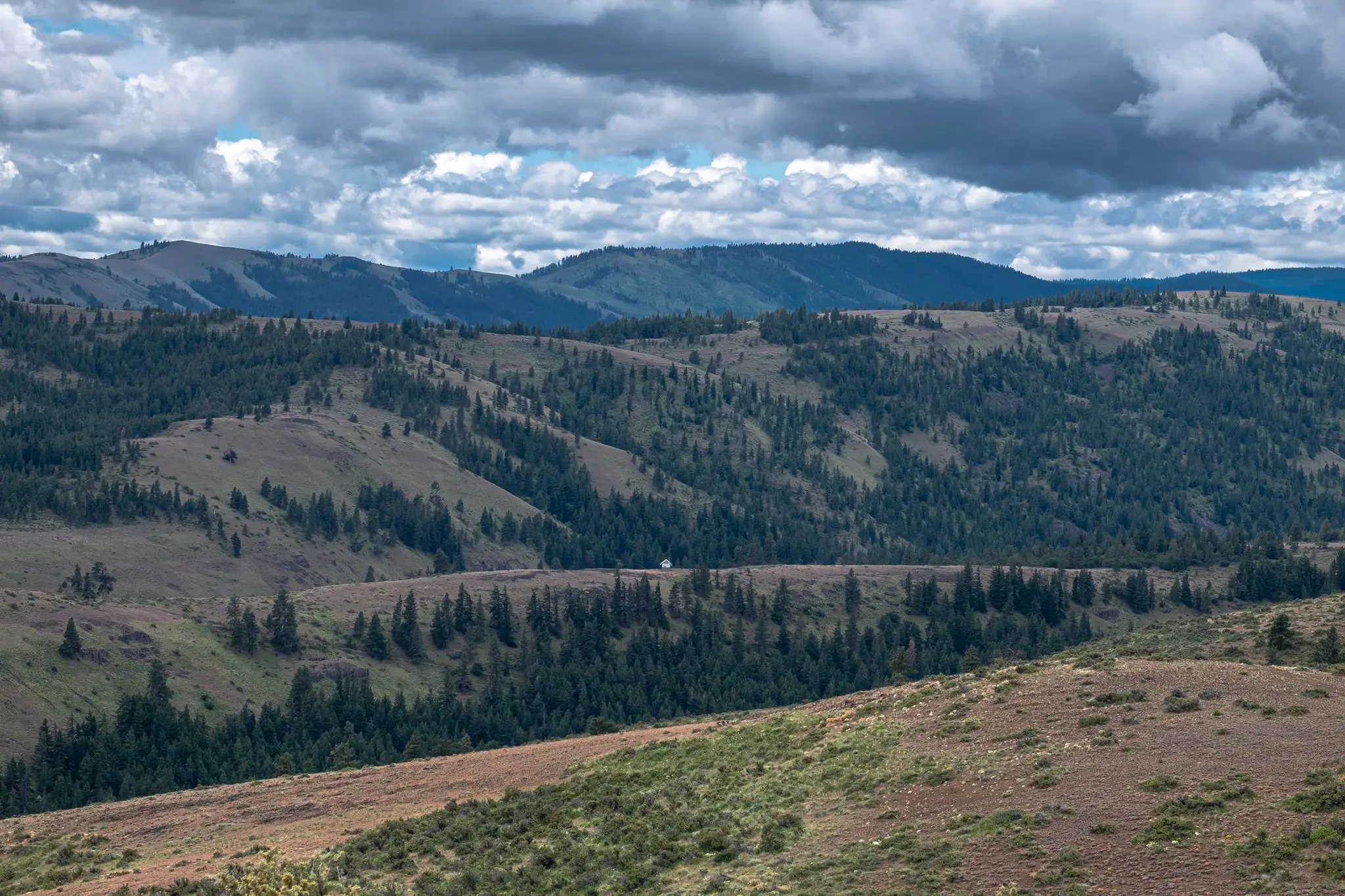 Cowiche Creek Conservation Forterra