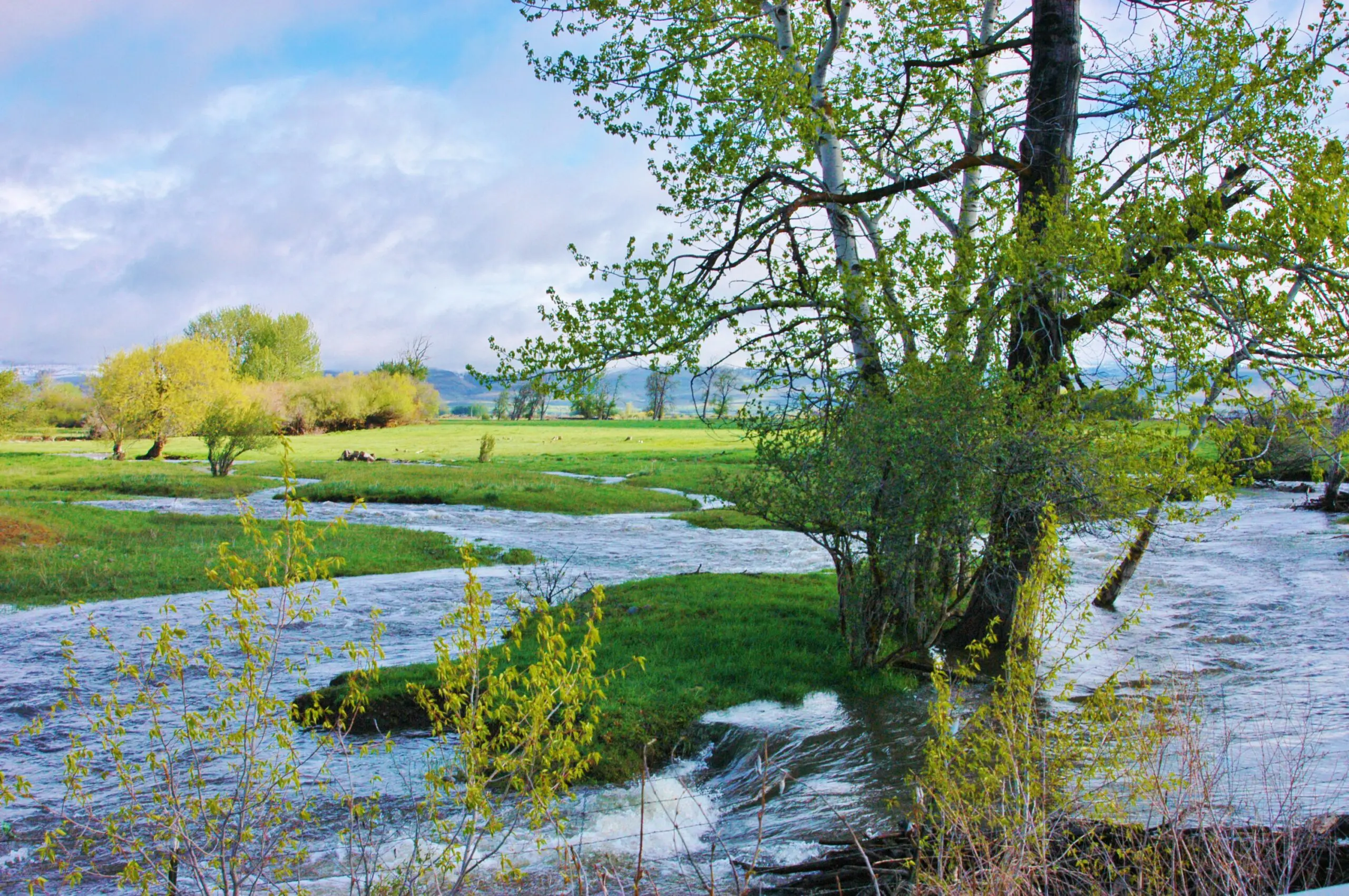 Hairpin Ranch Conservation Forterra