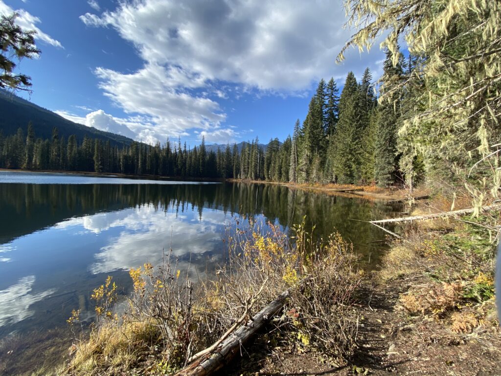 Gold Creek Washington Forterra