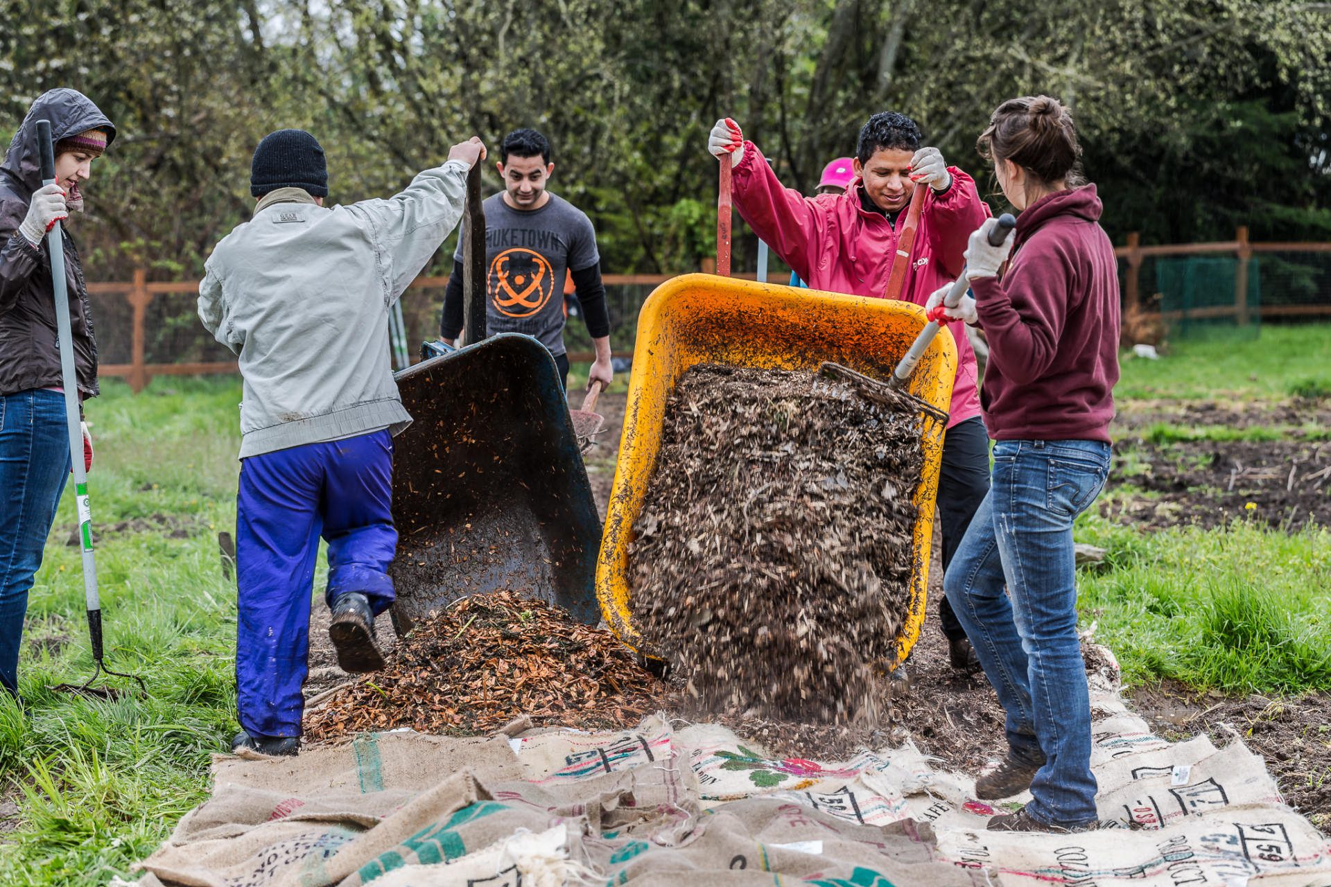 Woodchip mulching at Namaste Community Garden in Tukwila