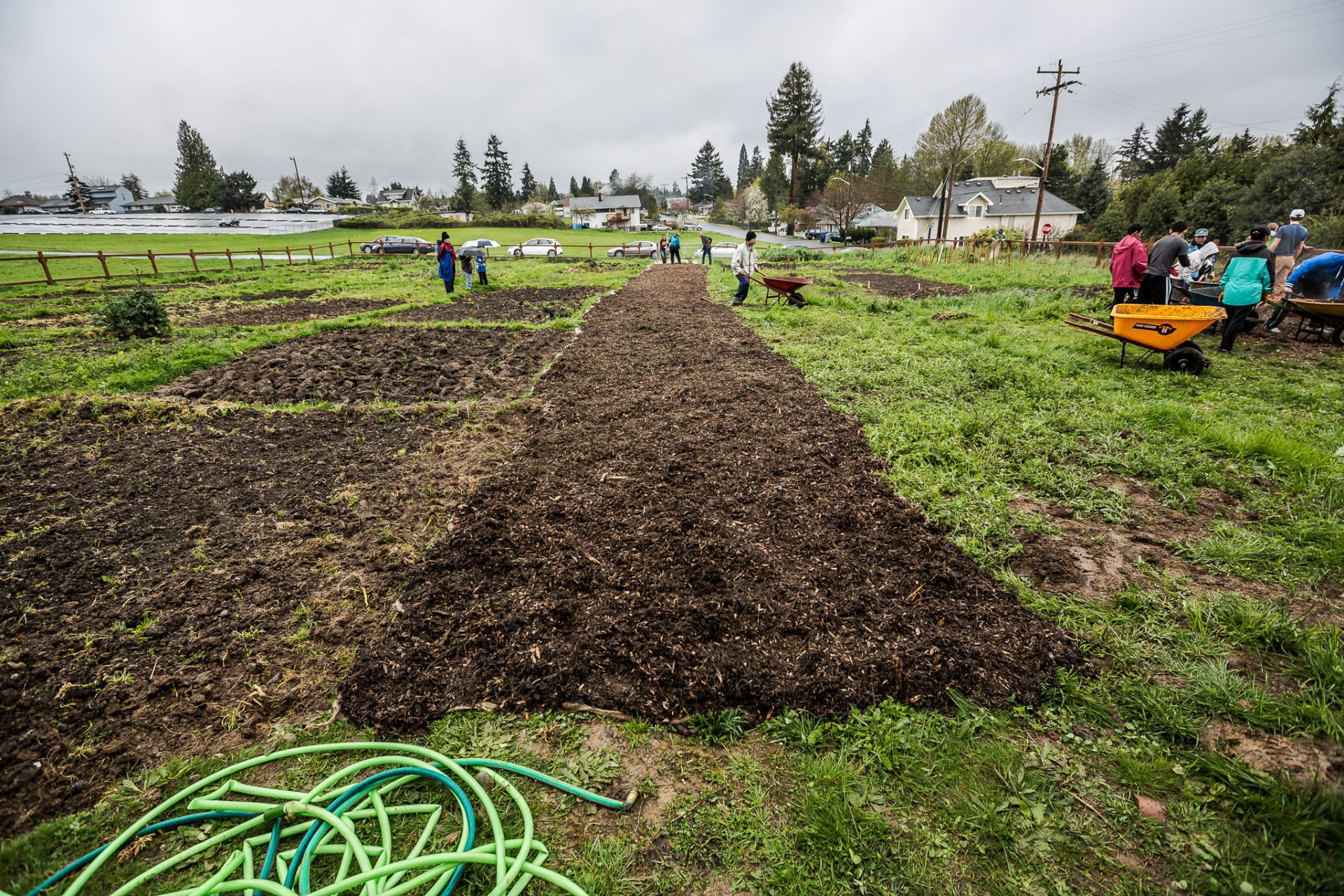 Volunteers mulch Namaste Community Garden, Tukwila, WA