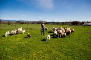 Linda-Neunzig_Courtesy-Female-Farmer-Project