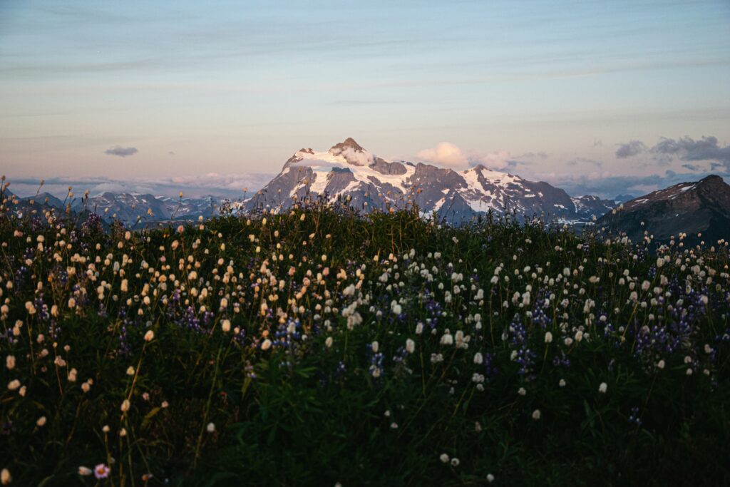 Mt. Baker. photo by Jamie Pilgrim