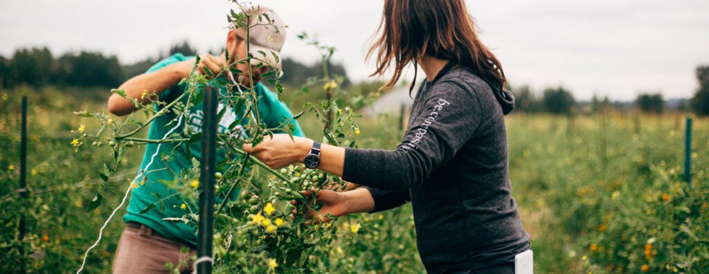 HomeGrown-Farming