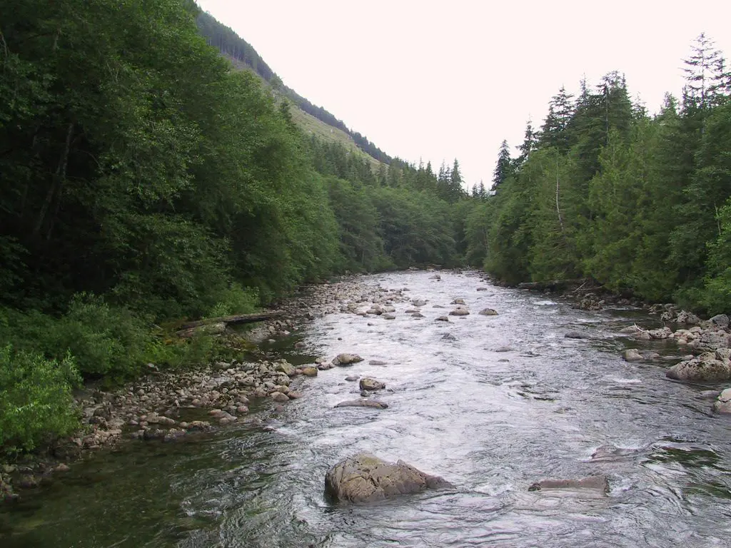 Snoqualmie Tree Farm King County