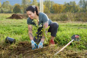 A volunteer plants a tree