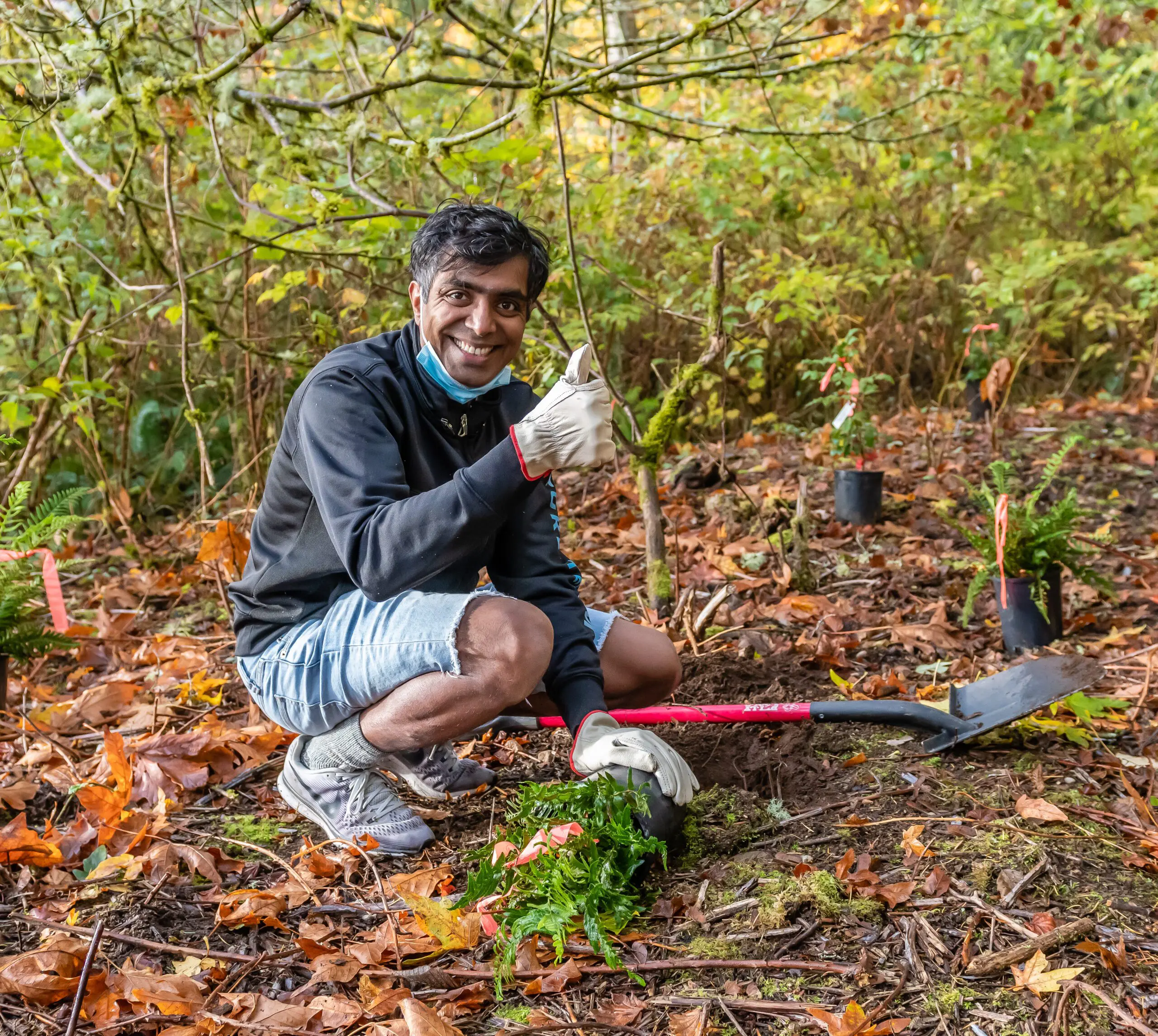 Evergreen Restoration Program