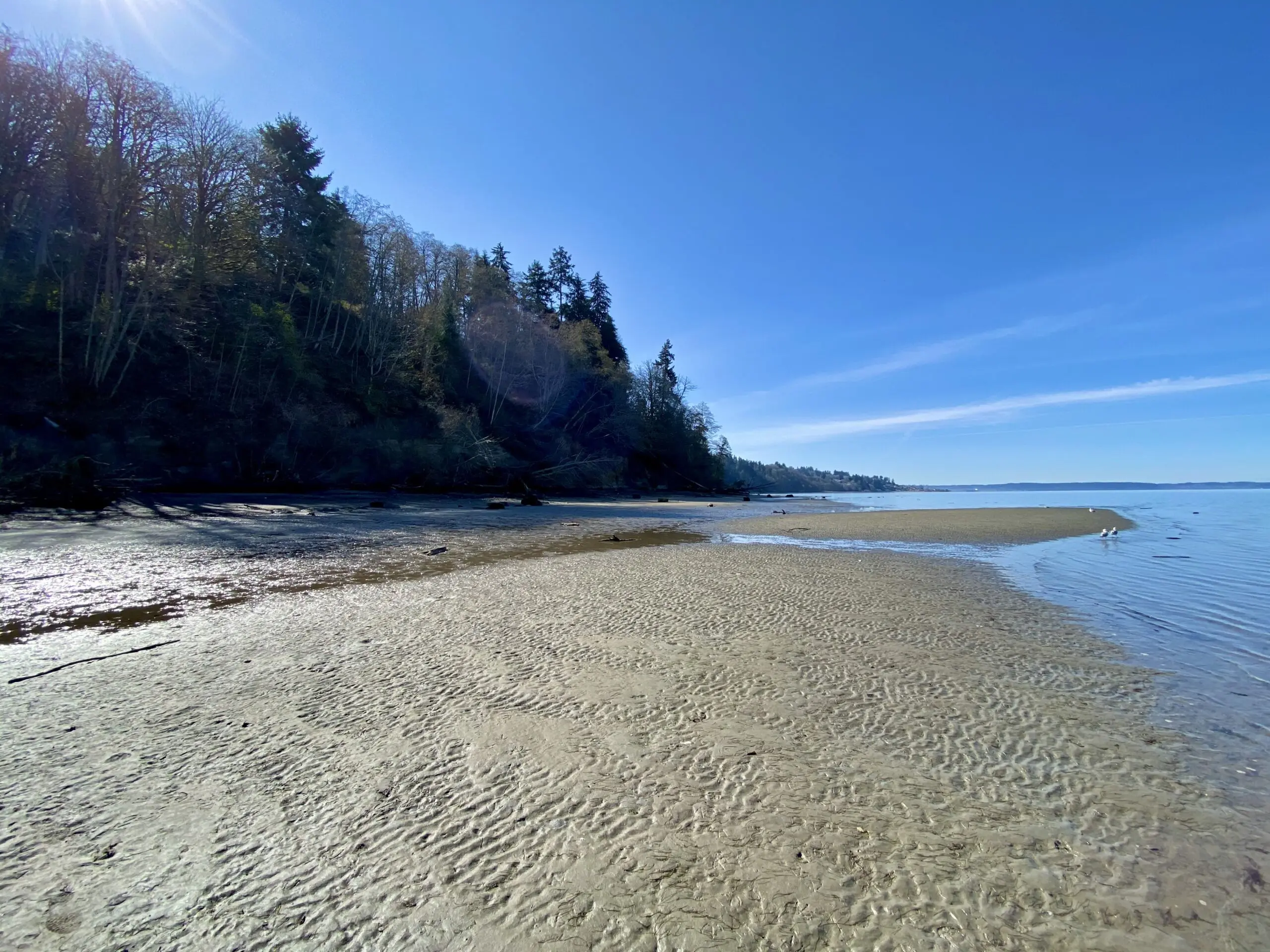 the beach trees and water around camp kilworth