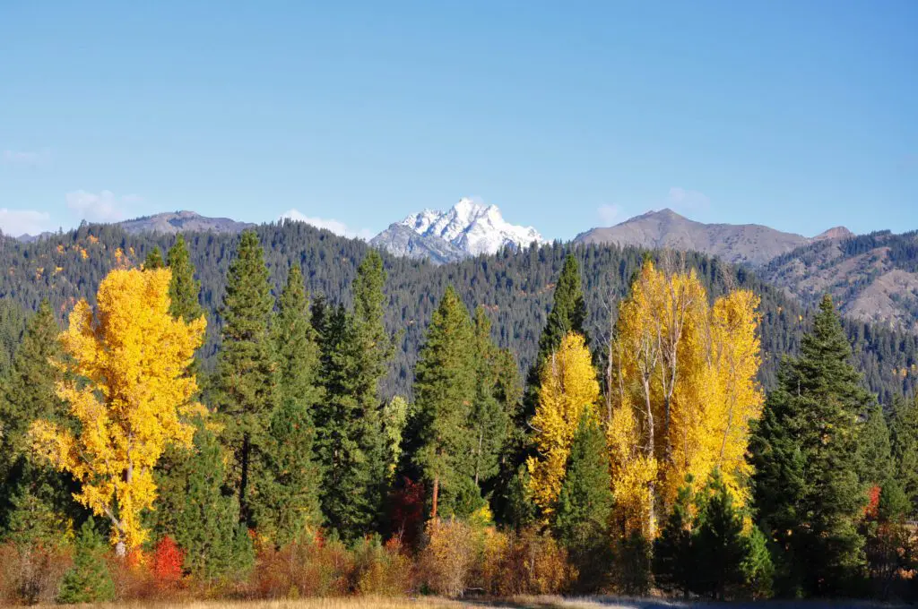 fall colors at Mt Stuart