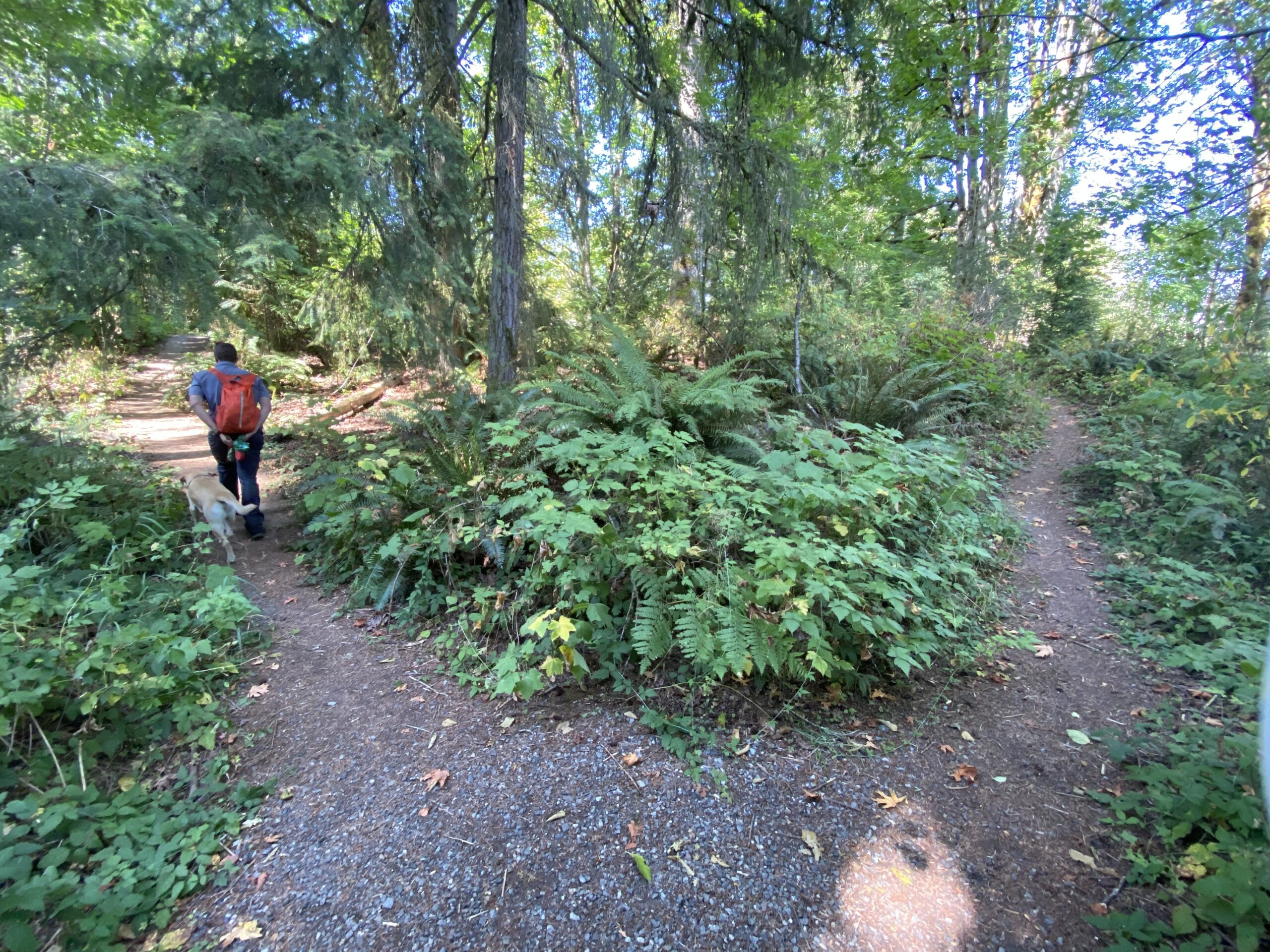 hiking at Hazel Wolf Wetlands Preserve
