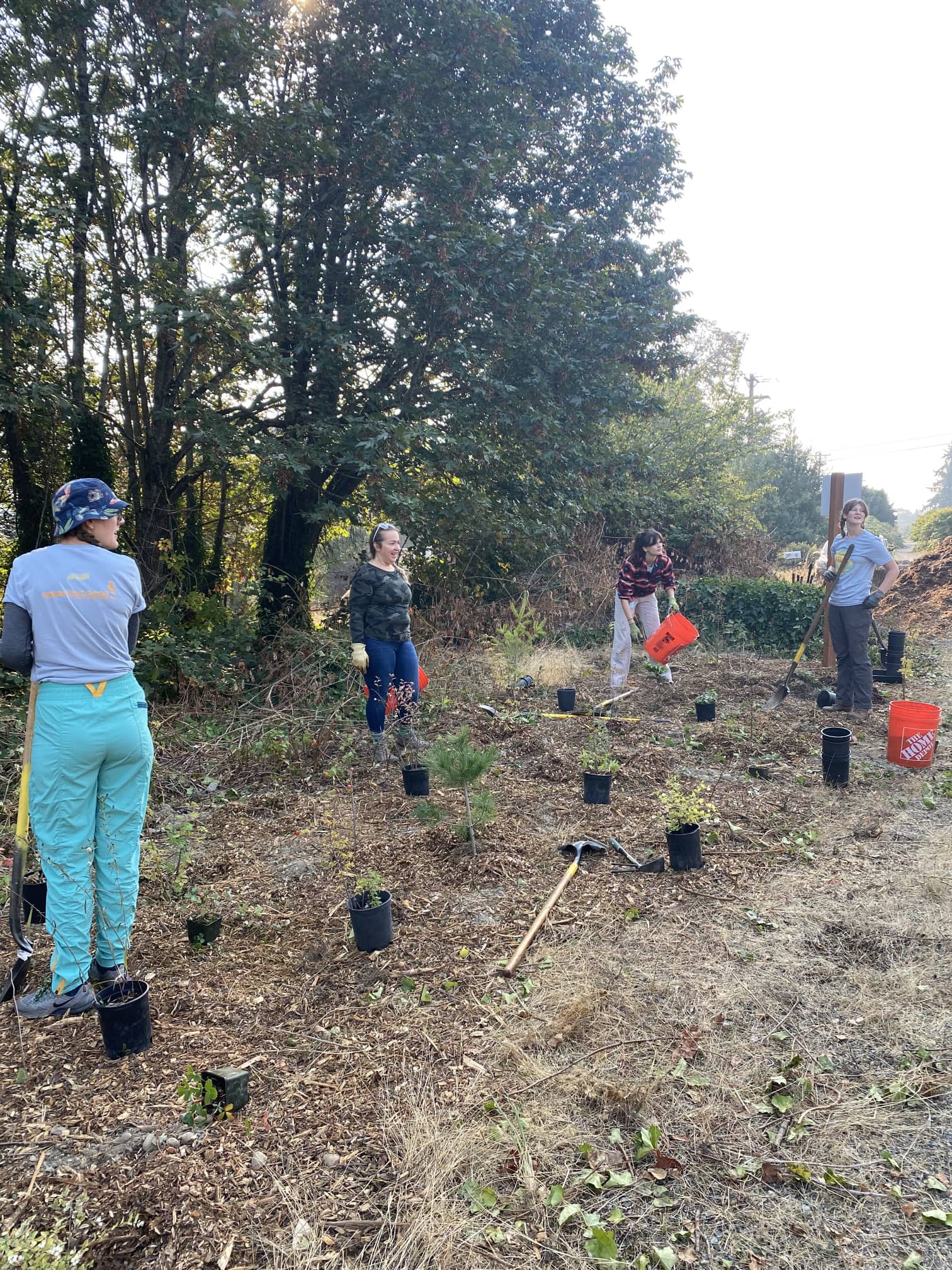 Several people planting trees in a dirt field