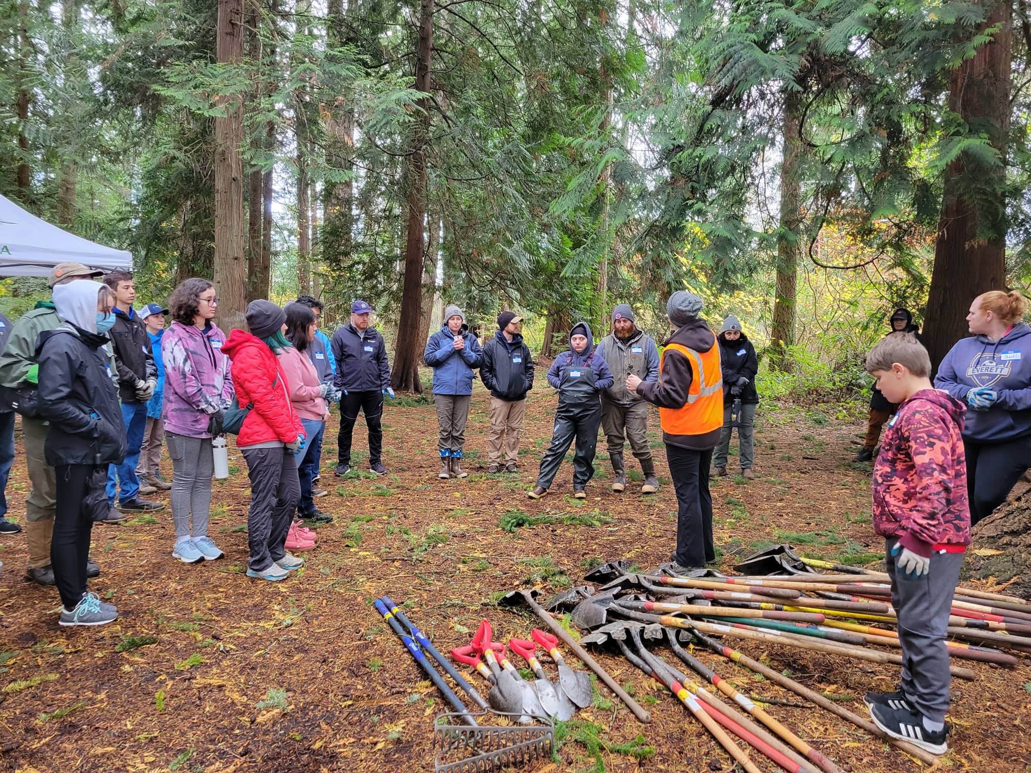 A large crowd of people in a forest receiving instructions. A big pile of shovels is on the ground.