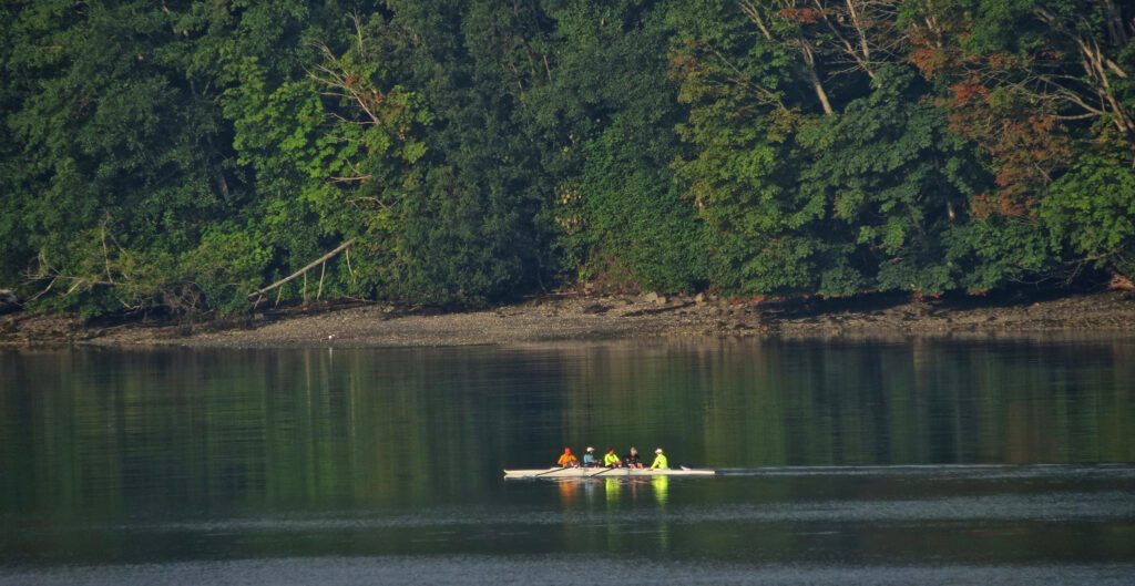 rowers at Port Gamble