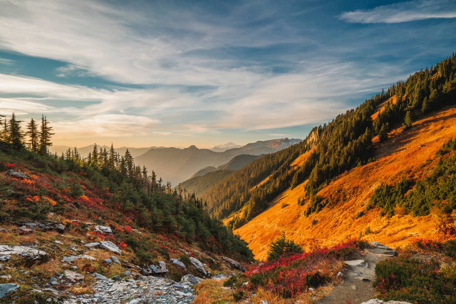 Photograph of a sun-lit mountain valley covered in wildflowers