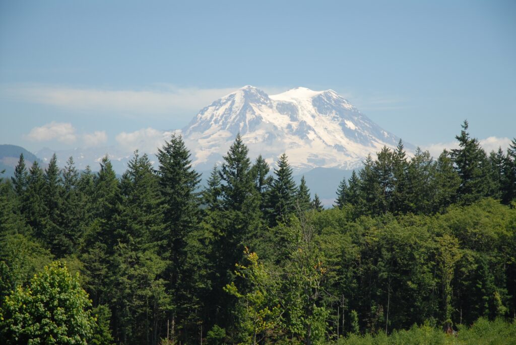 Dobbs Mountain with trees in the foreground 