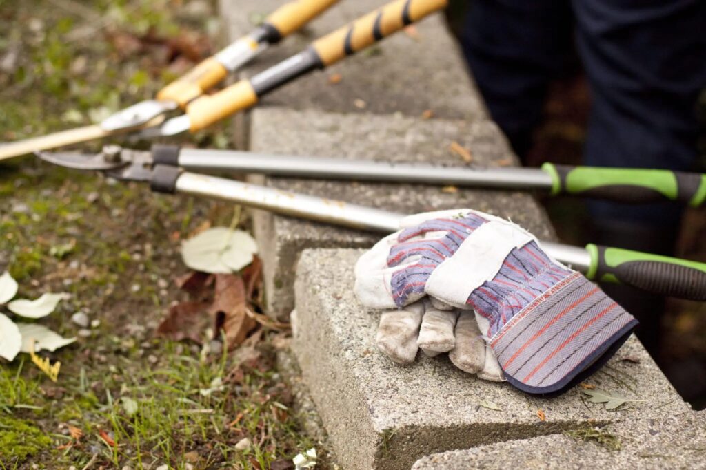 gloves and shovels sit on a concrete barrier