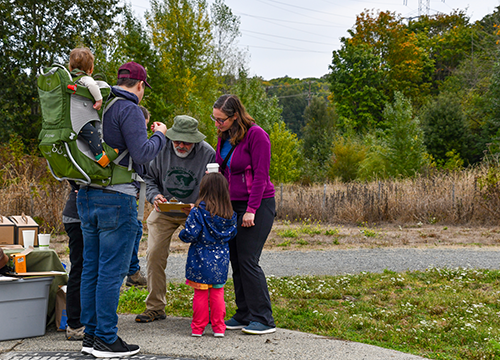 Duwamish Hill Preserve in Tukwila is a Gem