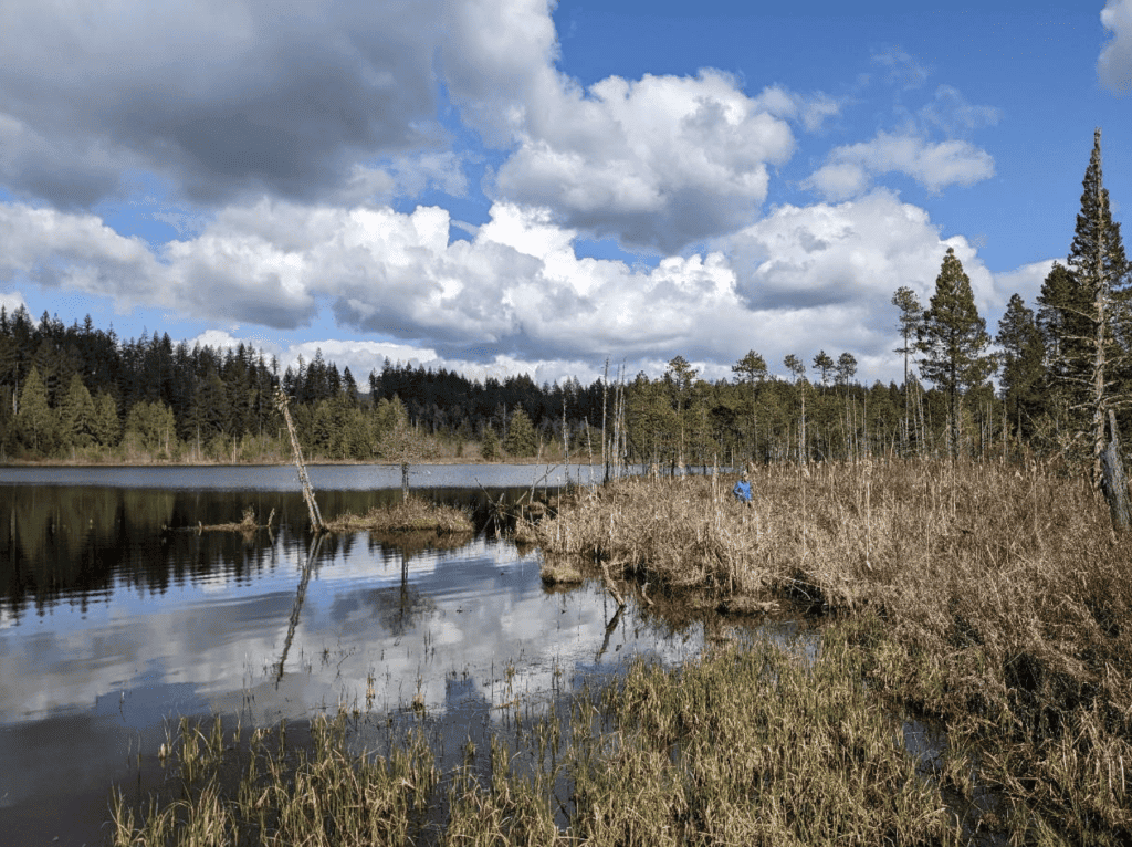 Tulalip Tribes reservation map Washington