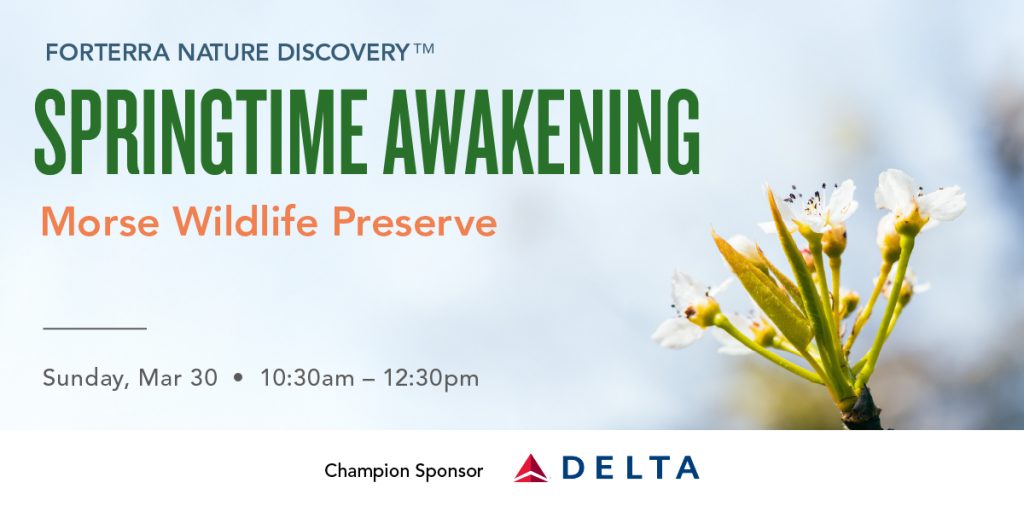 Forterra Nature Discovery: Springtime Awakening - Forterra
