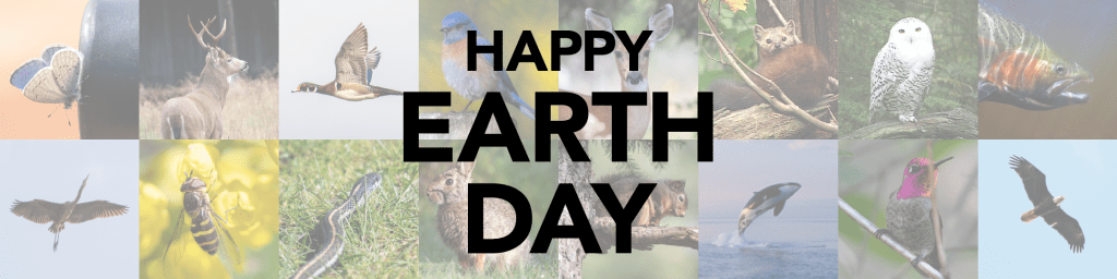 A banner with many animals in the wild, overlayed with Happy Earth Day title.