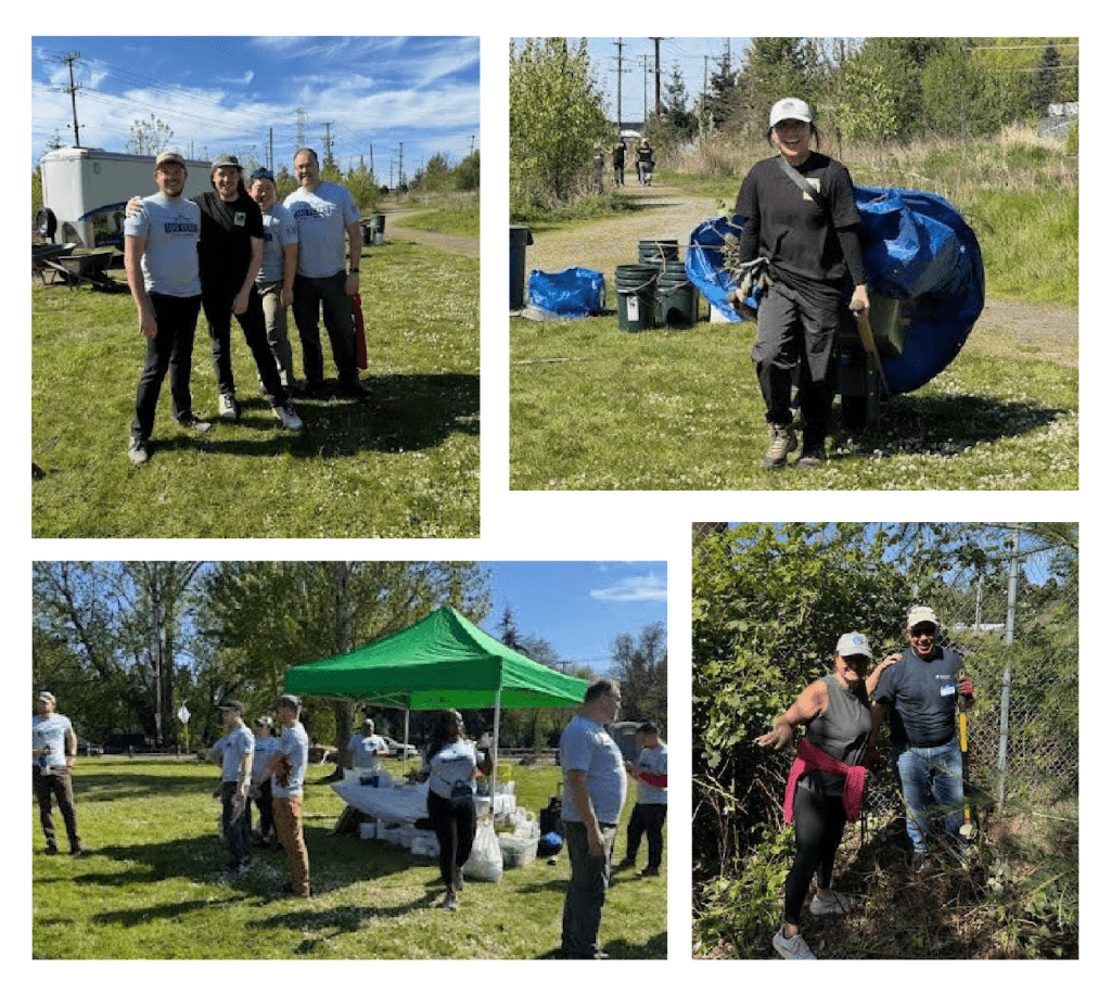 A collage of volunteers, working for land clean up at a Forterra Friday event.