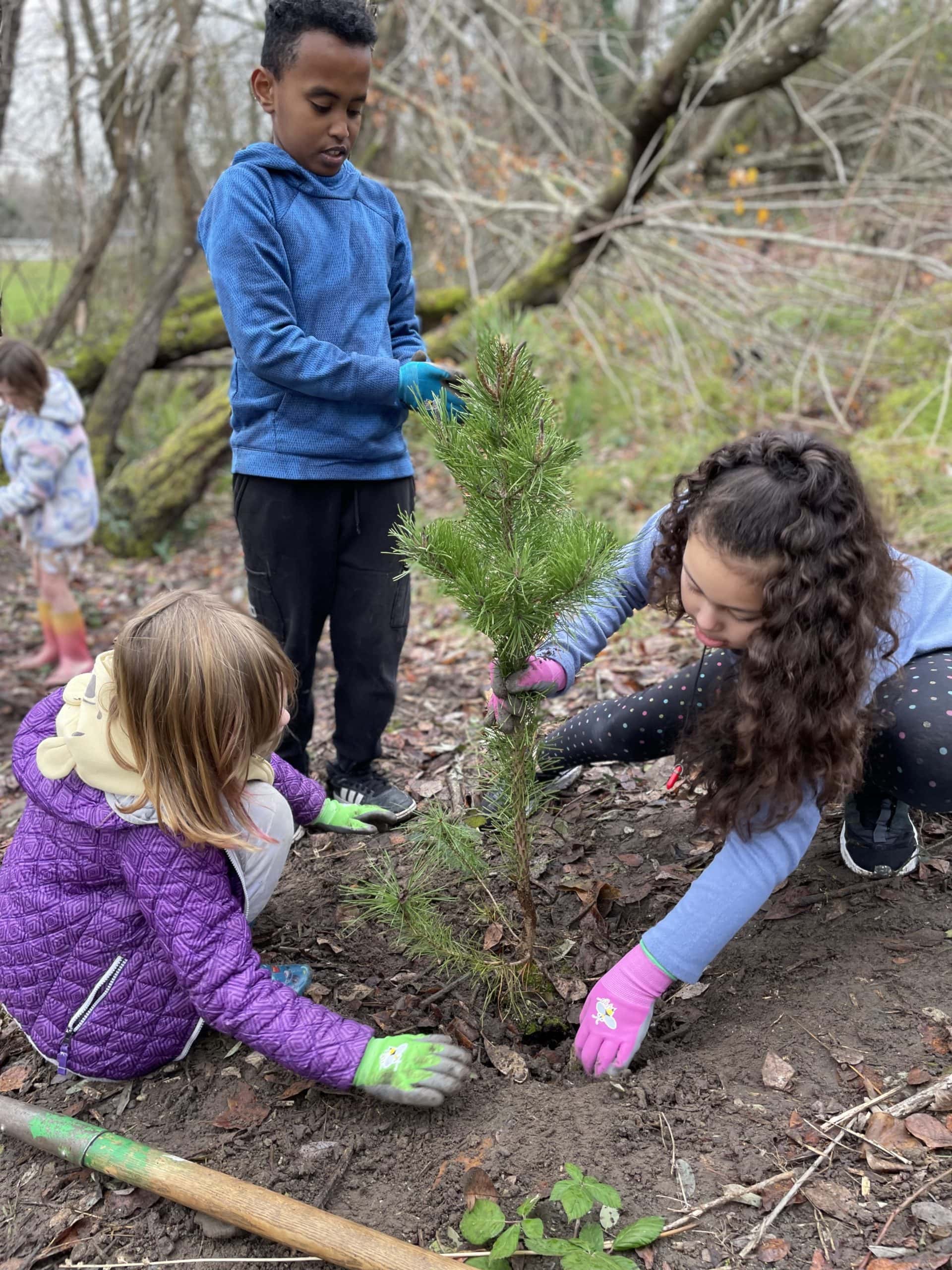 3 children planting a tree.