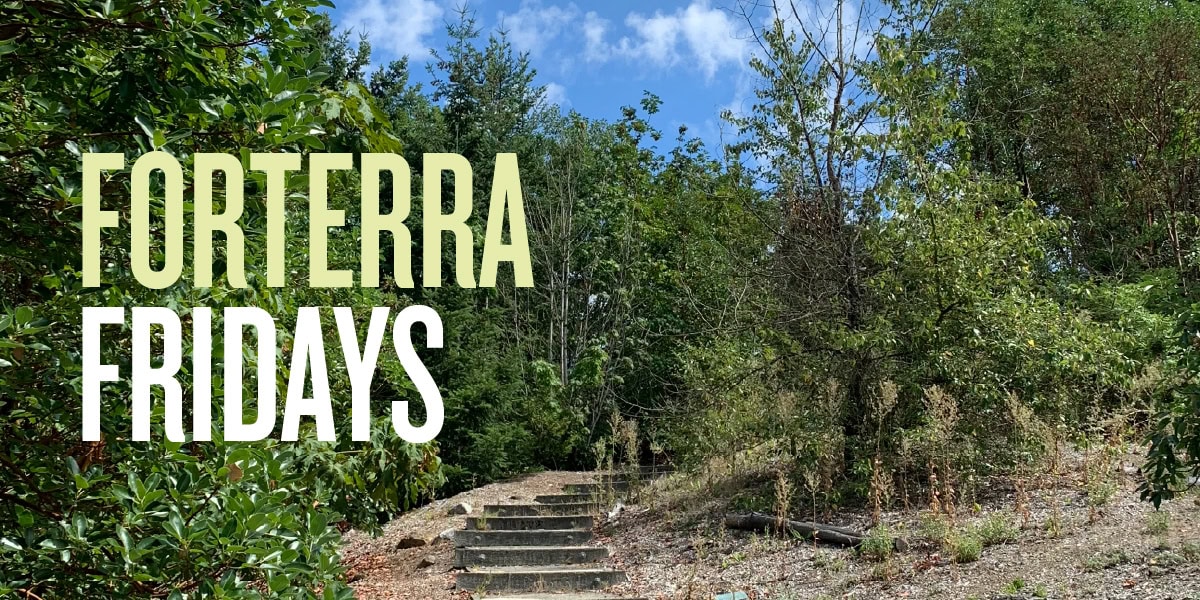 A banner for Forterra Fridays events. The words 'Forterra Fridays' appear over an image of a trail with steps, surrounded by trees and other plants. 