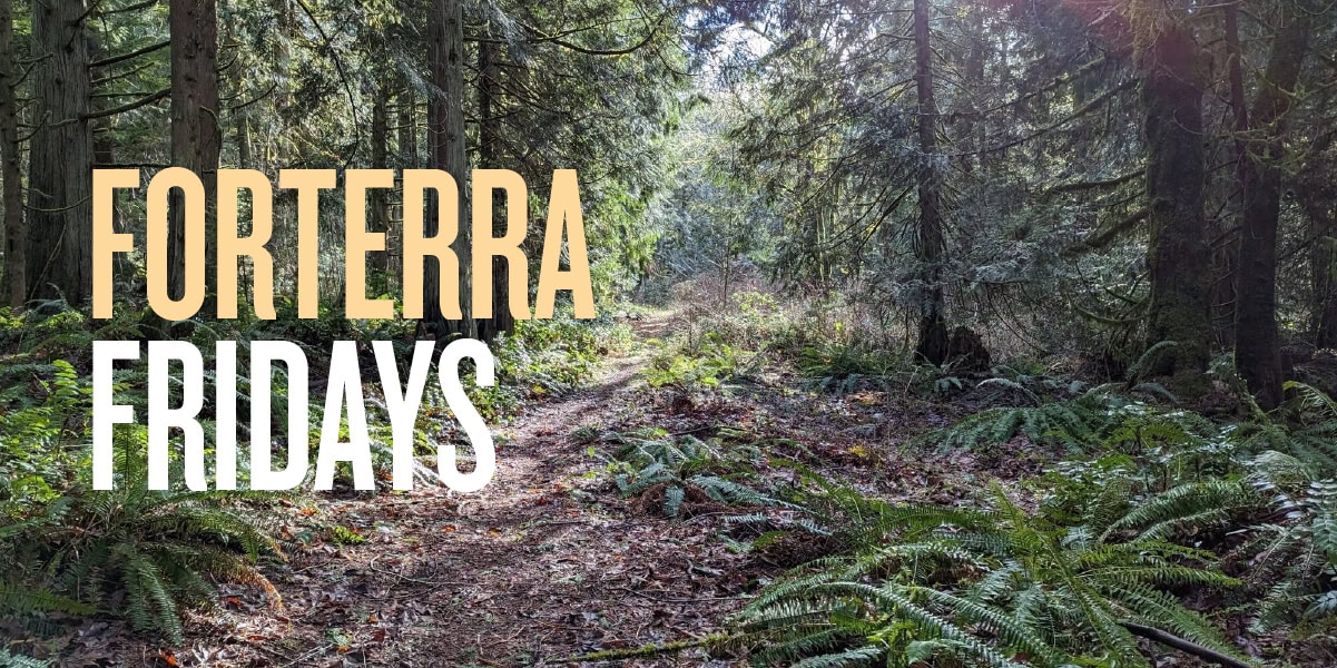 A banner for Forterra Fridays. The text 'Forterra Fridays' is overlaid on a photograph of a trail through the forest. The trail is lined with cedar trees and ferns. 
