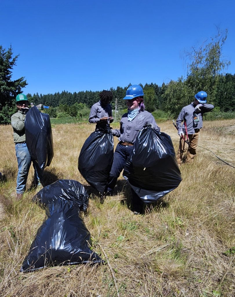 A group of young people working on forest conservation.