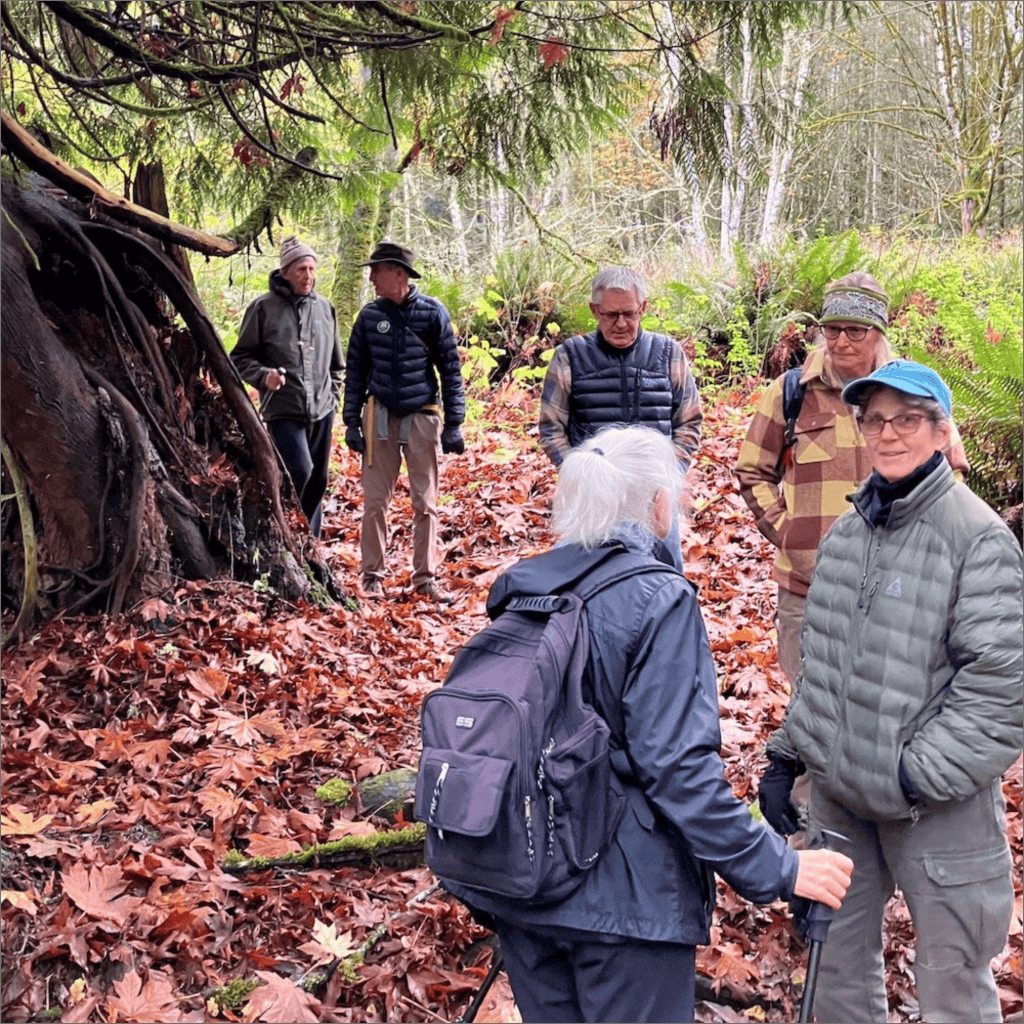 A photo of people on a nature walk, there are leaves on the ground.