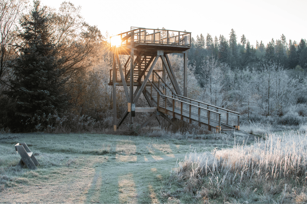 A picture of the observation tower at Morse Wildlife Preserve