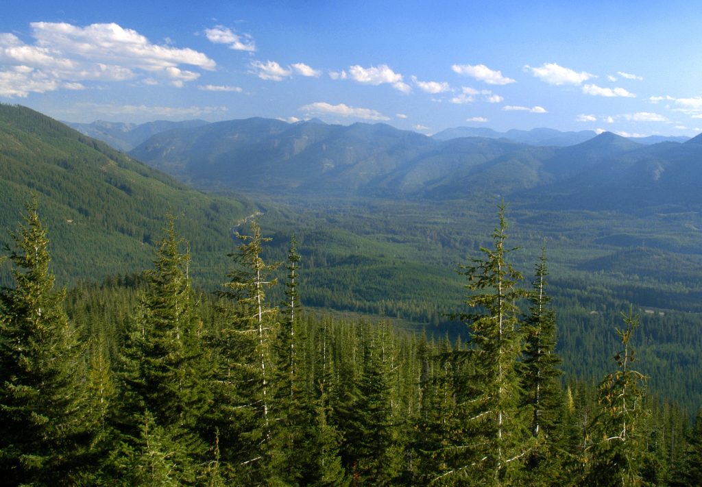 Kachess Lodge