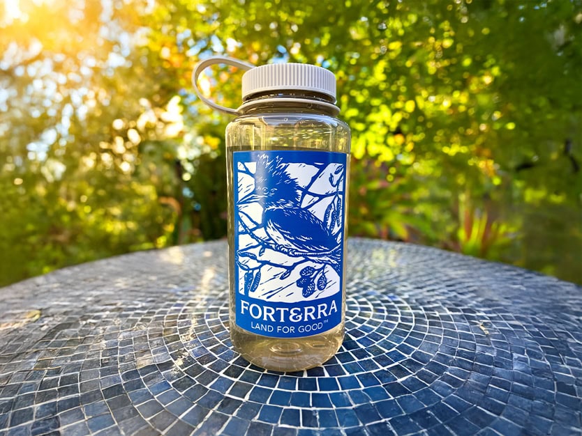 Forterra Water Bottle 2025