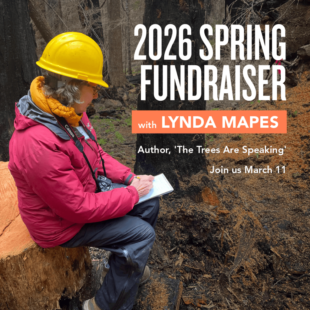 A picture of Lynda Mapes, 2026 Fundraiser Speaker at Forterra Spring Fundraiser