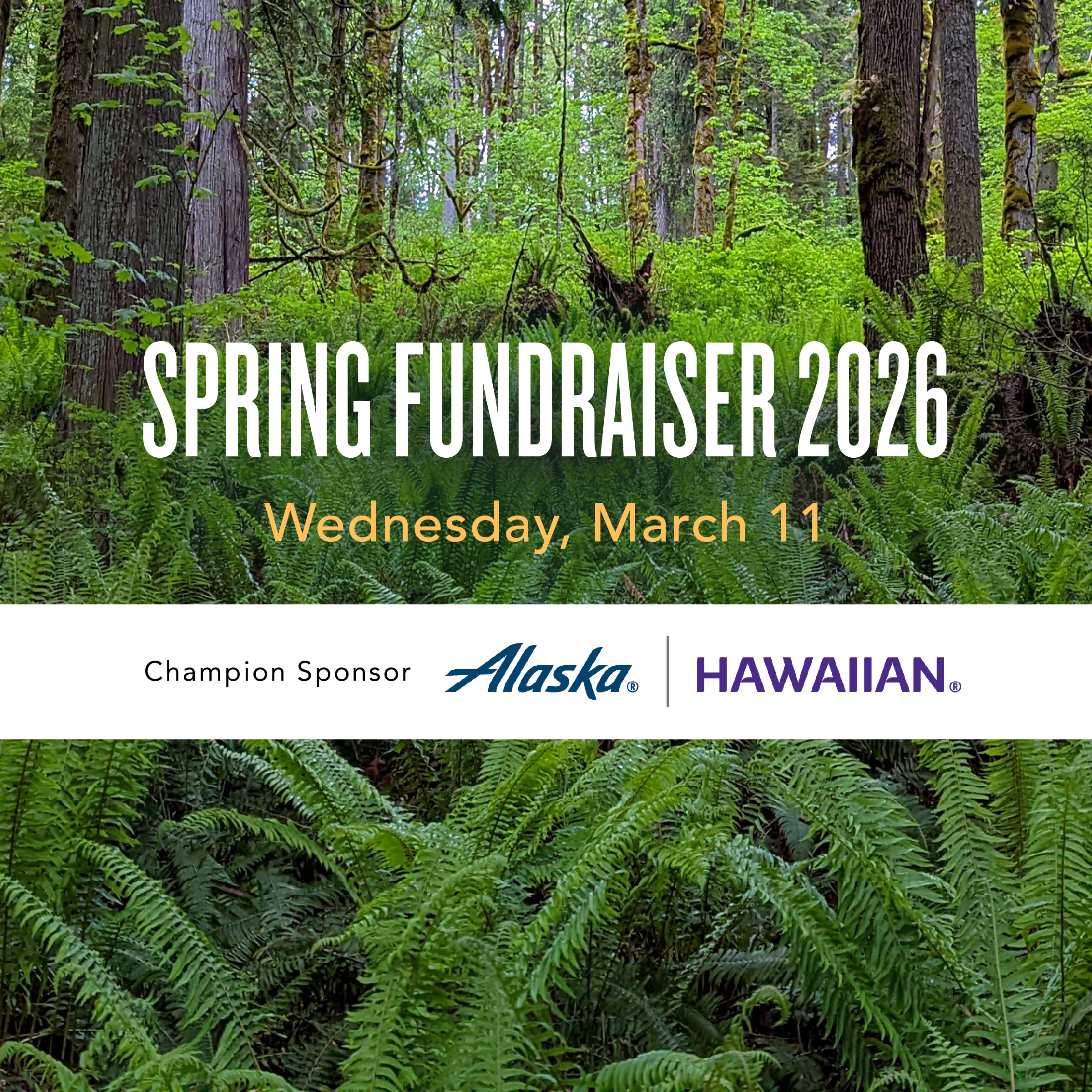 2026 Spring Fundraiser