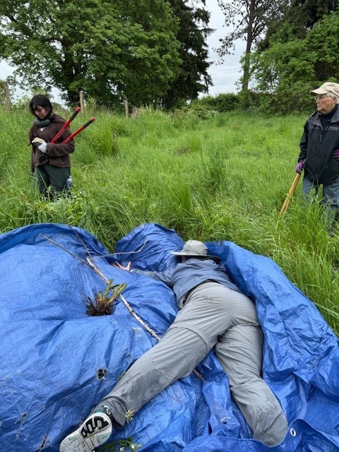Michelle Hermann and two other volunteers.