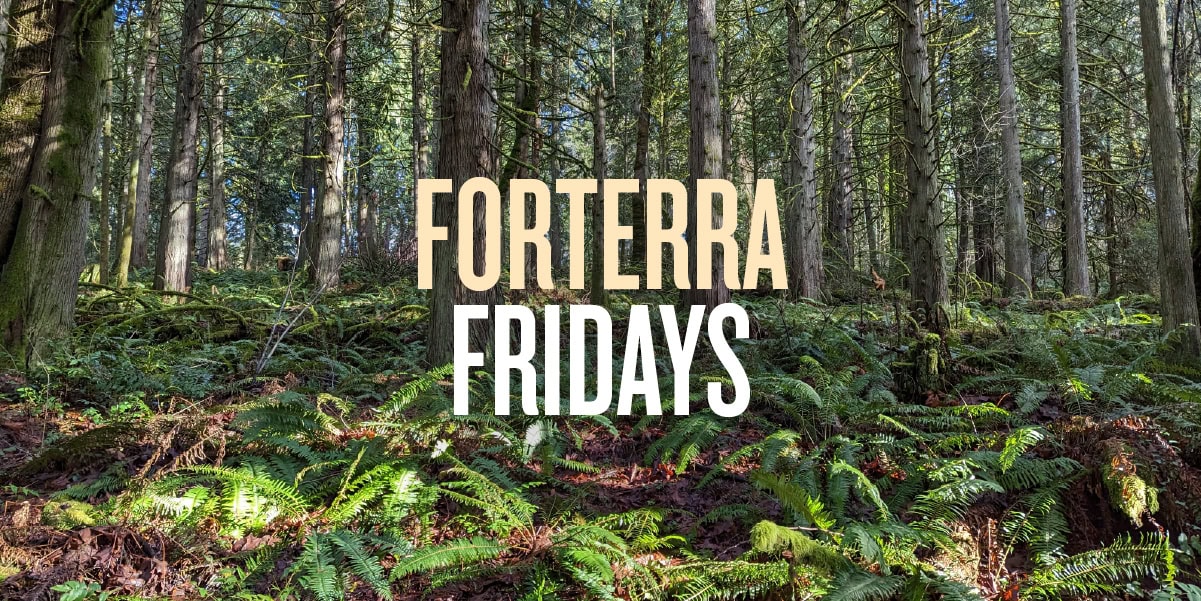 Forterra Fridays: June 2026