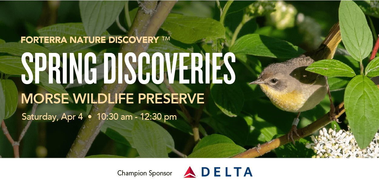 A banner promoting Forterra's Nature Discovery Program.